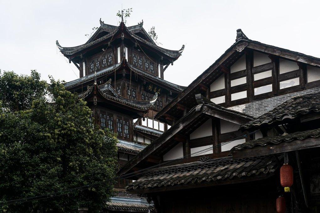探索这些生石花都叫啥啊?的精彩世界-这些生石花都叫啥啊?红迪网